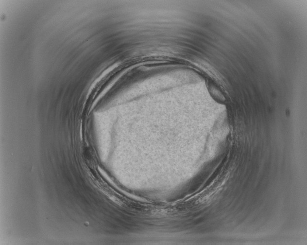 X0000073700790200608311728