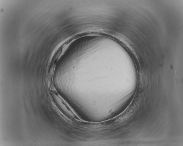 X0000073700791200608311728