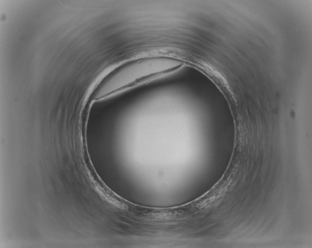 X0000073700792200608311728