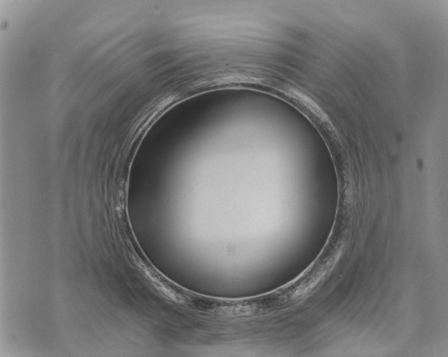 X0000073700793200608311728