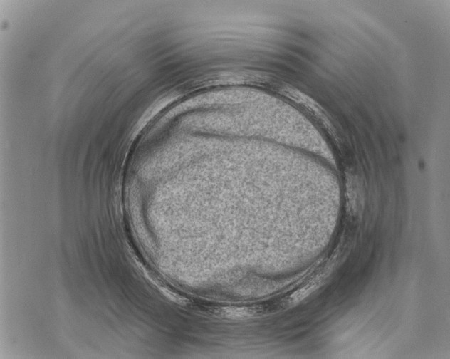 X0000073700794200608311728