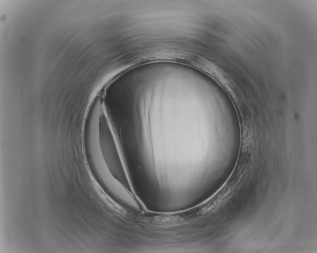 X0000073700795200608311728