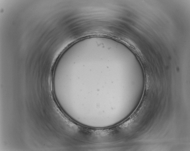 X0000073700796200608311728