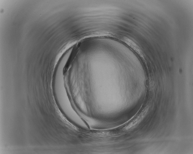 X0000073700797200608311728