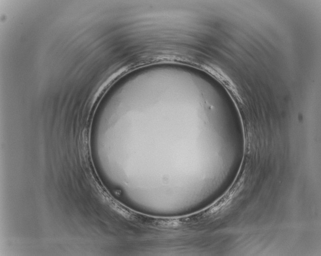 X0000073700798200608311728