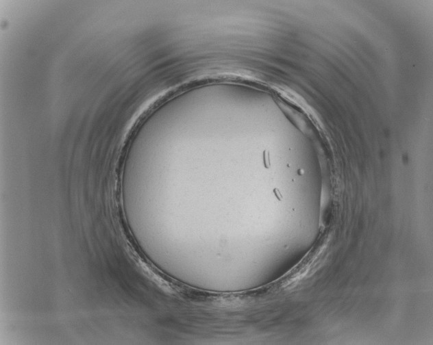 X0000073700799200608311728