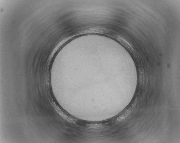 X0000073700800200608311728