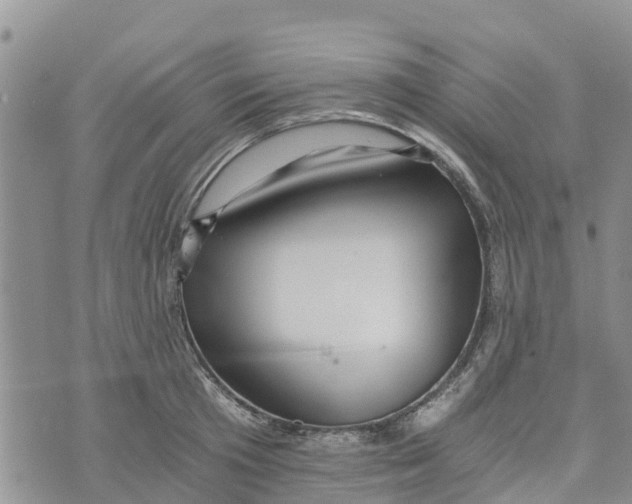 X0000073700801200608311728