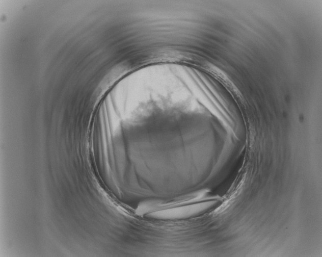 X0000073700802200608311728