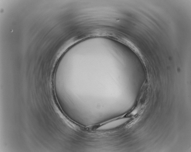 X0000073700803200608311728