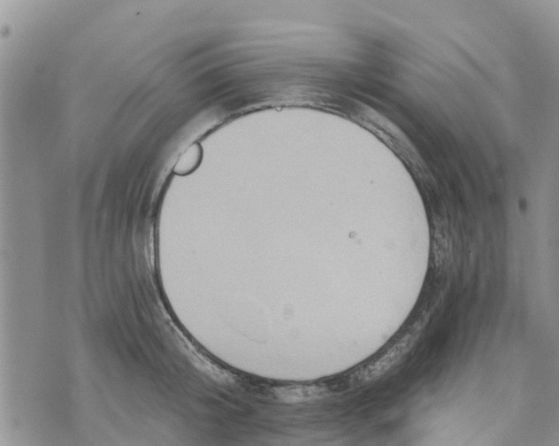 X0000073700804200608311728