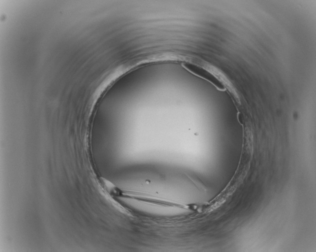 X0000073700805200608311728