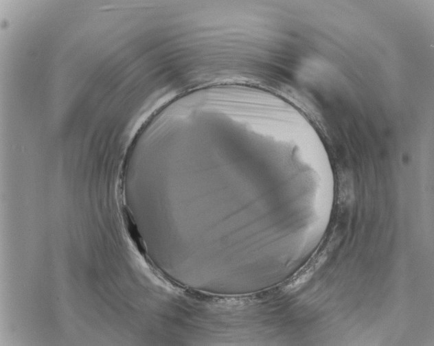 X0000073700806200608311728