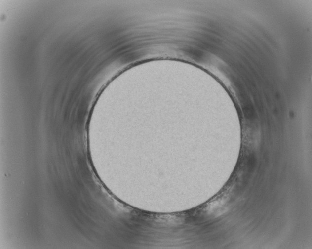 X0000073700807200608311728