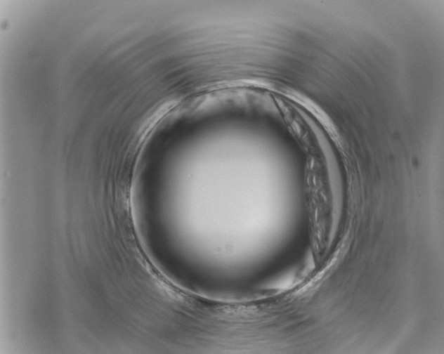 X0000073700809200608311728