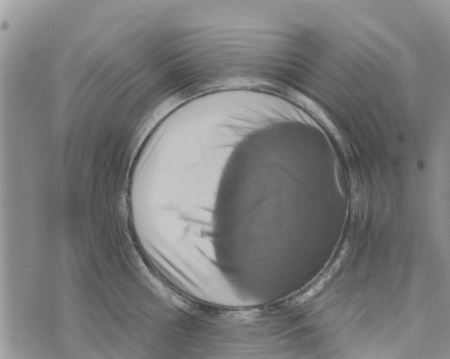 X0000073700810200608311728