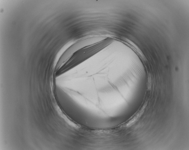 X0000073700812200608311728