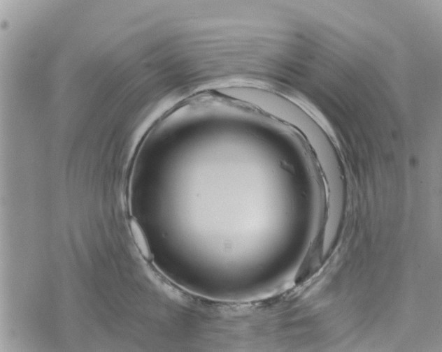 X0000073700813200608311728