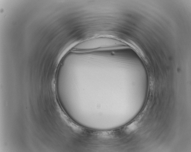 X0000073700814200608311728