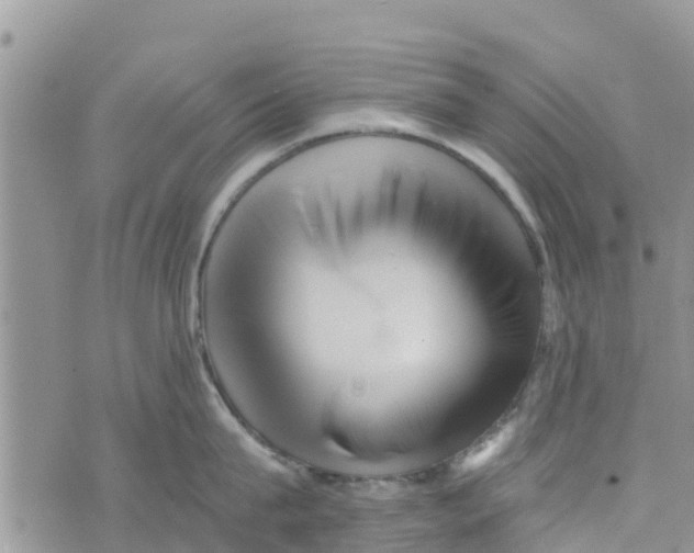 X0000073700815200608311728