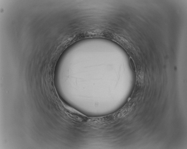 X0000073700817200608311727