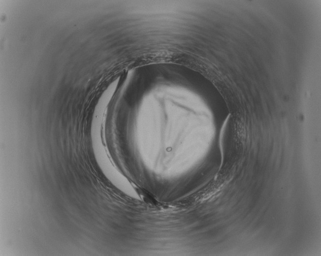 X0000073700818200608311727