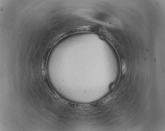 X0000073700819200608311727