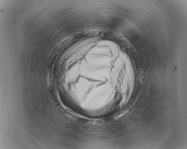 X0000073700821200608311727