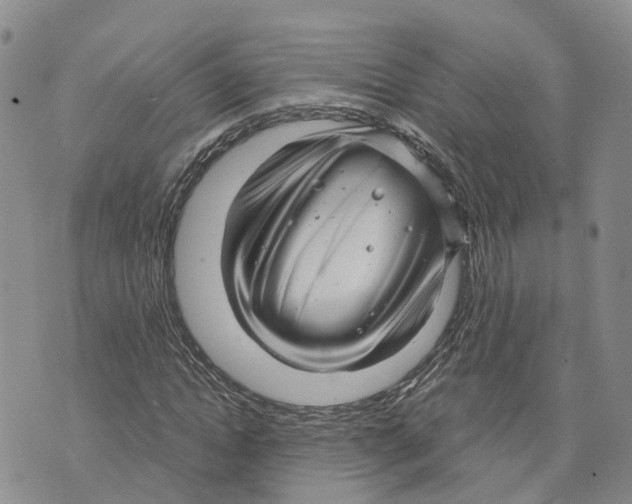 X0000073700822200608311727