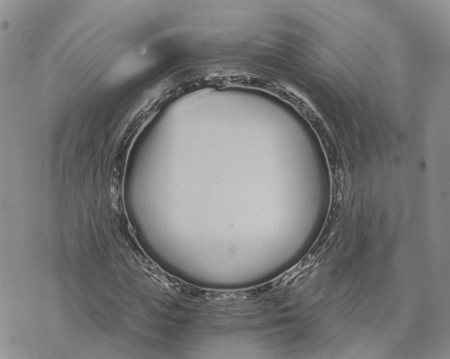 X0000073700823200608311727