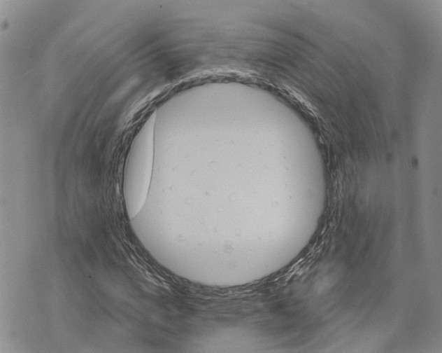 X0000073700824200608311727