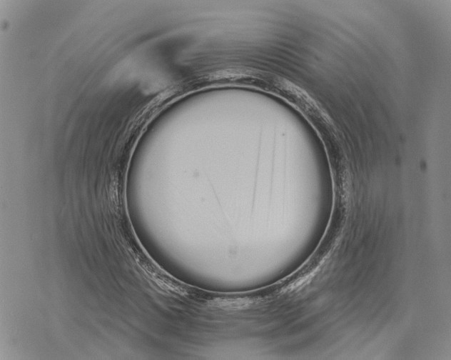 X0000073700825200608311727