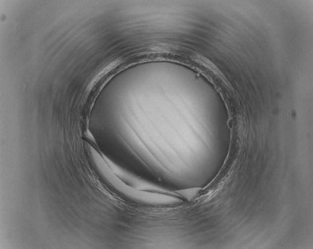 X0000073700826200608311727