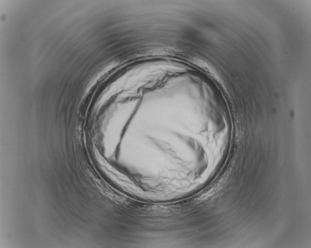 X0000073700827200608311727