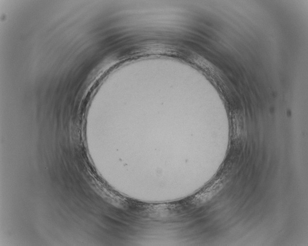 X0000073700828200608311727