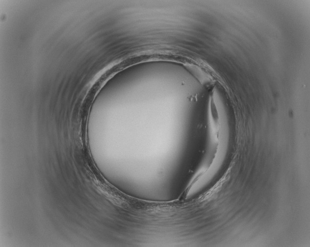 X0000073700830200608311727