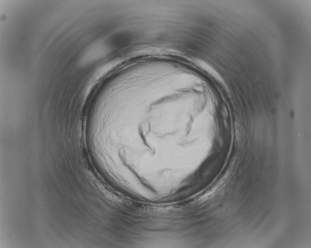 X0000073700831200608311727