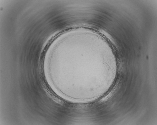 X0000073700832200608311727