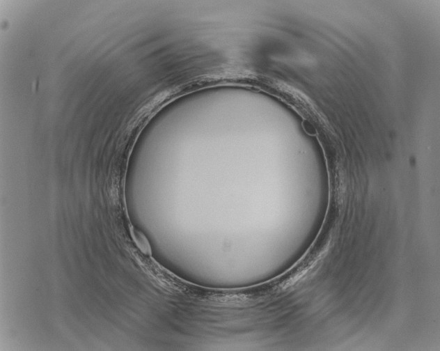 X0000073700833200608311727