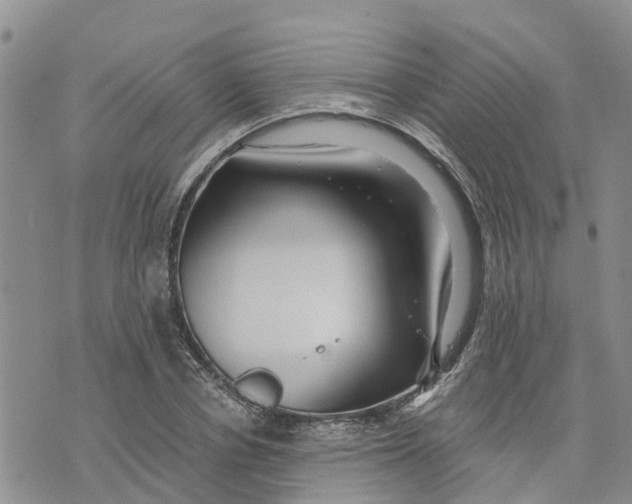 X0000073700834200608311727