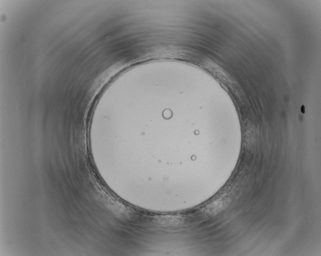 X0000073700836200608311727