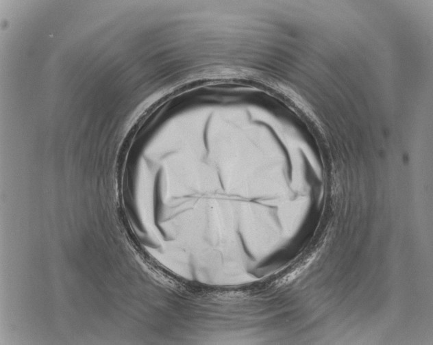 X0000073700837200608311728