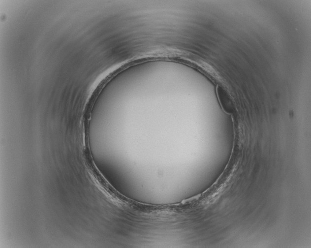 X0000073700838200608311728