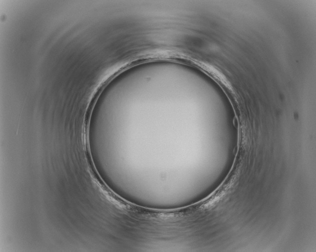 X0000073700839200608311728