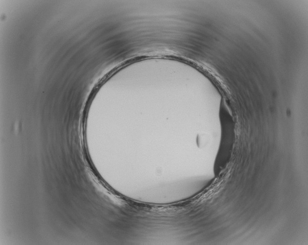 X0000073700840200608311728