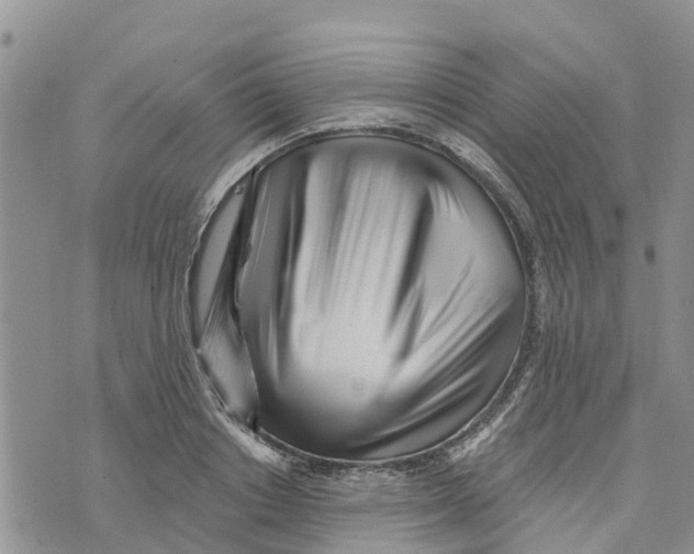 X0000073700842200608311728