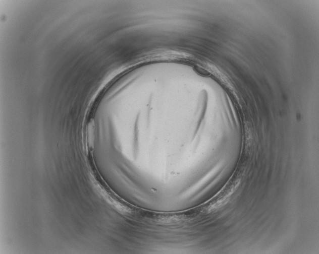 X0000073700843200608311728