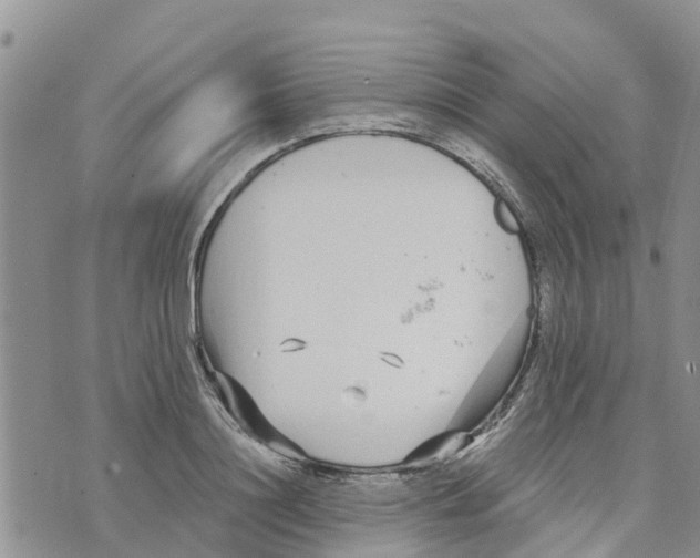 X0000073700844200608311728