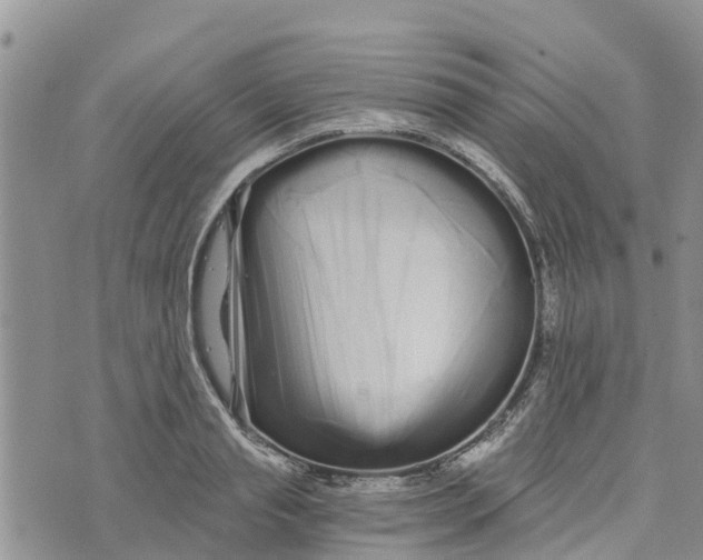 X0000073700845200608311728