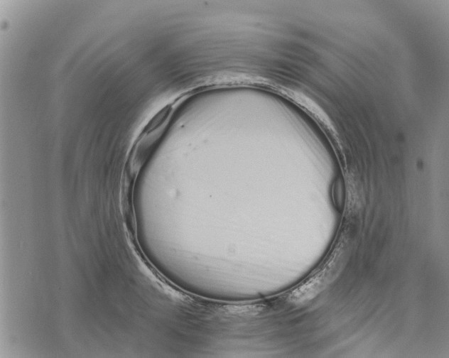 X0000073700847200608311728